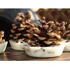 Kindlecone - Natural pine cone firelighters - Summer Garden -