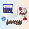 Backflow Incense Cones - Combo Pack of 20 Incense Cones