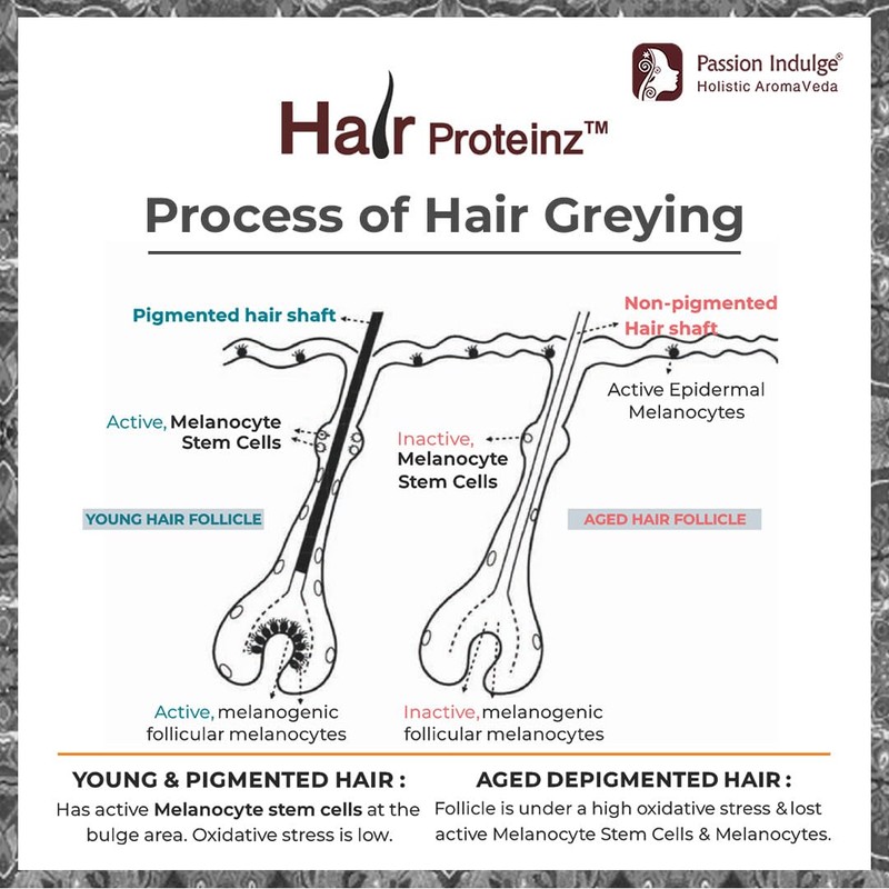 Hair Proteinz Anti Grey Hair Serum with Arcolys, Black Tea