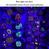 GaiGaiMall Blue Light Flashlight Single Mode Zoomable Waterproof Led Blue