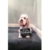 Pearhead Pet's Baby Announcement Chalkboard Photo Prop Sign, Mom &