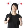 Clearstone Party City Cheering Goods, Variety Goods, Hinomaru Flag, Unisex,