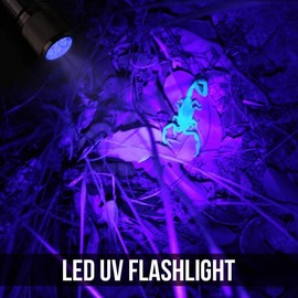 LE Small UV Flashlight, Portable Black Light with 9 LEDs, 395nm, Ultraviolet Light Detector for Invisible Ink Pens, Pet Dog Cat Urine Stain and More, AAA Batteries Included