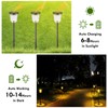200 Lumen Solar Pathway Lights Outdoor for Yards,2 Pack Pathway