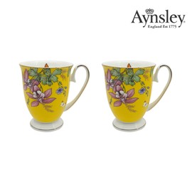 Annesley English Tea Garden Mug 2P Yellow / 앤슬리 잉글리시 티 가든 머그 2P 옐로우
