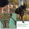 BUMBIN Tactical Dog Harness for Large Dogs No Pull, Famous