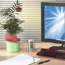 Hama LCD Thermometer