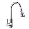 Kitchen Fittings, Replacement Shower Head for Kitchen Sink Tap, Dish
