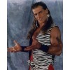 SHAWN MICHAELS 8X10 PHOTO WRESTLING PICTURE WWE