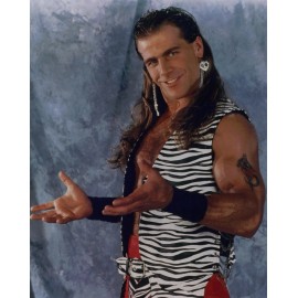 SHAWN MICHAELS 8X10 PHOTO WRESTLING PICTURE WWE