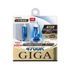 Carmate BD30 Car Halogen Headlight GIGA Power Focus Slim H4