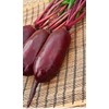 Seeds4planting - Seeds Beet Red Rival Long Heirloom Vegetable Non