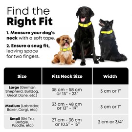 Regal Dog Products Small Yellow Heavy Duty Reflective Dog Collar with Durable Metal Buckle and D Ring | Adjustable, Chew Proof & Waterproof Dog Collar | Other Sizes for Small & Large Dogs