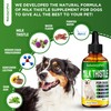 Milk Thistle for Dogs | Dog Liver Supplement for All