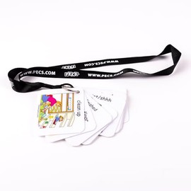 PECS® Show and Go: Visual Classroom Direction Cards (Black)