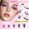 Parriparri Lashes Cluster Kit 590pcs Individual Eyelashes with Eyelash Glue