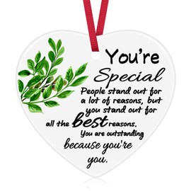 Appreciation Gifts for Coworker Women Inspirational Gift Ideas Christmas Ornament Thank You Gifts for Women Men Friends Ceramic Ornament Coworkers Leaving Gifts Motivational Gift for Nurse Teacher
