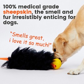 HOWGO Dog Rope Toy,Dog Bungee Chaser Toy 100% Sheepskin,Sheep Smell Tug Toy for All Breeds(Black, Large with Ball)