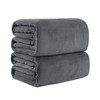 Pagnanno. Flannel Fleece Mink Throw Pack of 2 - Sofa/Bedspread/travel