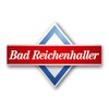 Bad Reichenhaller Chip Salt 300 g Tin