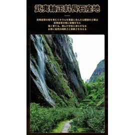 Thick Incense Type Cinnamon Tea Oolong Tea Wuyi Rock Tea Long Lasting Scent of Cinnamon Skin Strong Taste Oolong Tea Chinese Tea Chinese Tea Leaf Tea No Additive High Mountain Gulong Tea Alpine Tea
