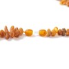 Amber Collar for Dogs and Cats - 100% Natural Baltic