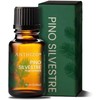 Aceite esencial de pino silvestre 10 ml – Aroma fresco