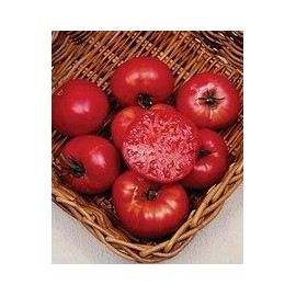 Tomato Mortgage Lifter Great Heirloom Garden Vegetable by Seed Kingdom BULK 1/4 Lb Seeds