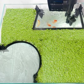 Pryitier Aquarium Floating Plant Barrier, Floating Plant Corral Self Adjusts to Water Level Fish Tank Fence Keeps The Floaters Away from The Filter