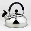 Nagao Tsubame Sanjo Kettle, Full Water, 4.9 gal (1.5 L),