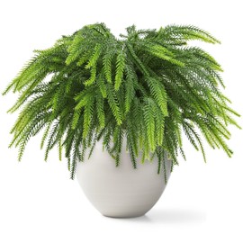 Whaline 12 Pcs Christmas Norfolk Pine Branches Stem Artificial Fake Pine Needles Faux Xmas Greenery Sprigs for Winter DIY Wreath Vase Fillers Decoration
