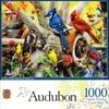 Backyard Birds 1000 Piece Puzzle