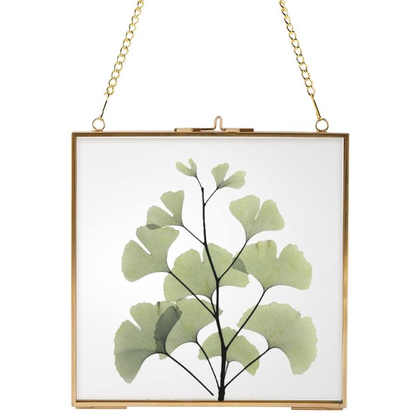 Homtone 16 x 16 cm Glass Frame for Wall, Floating