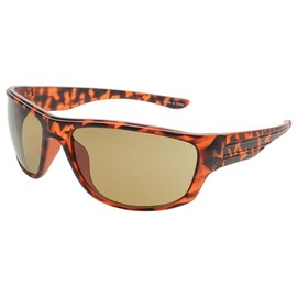 Hodogaya Electronics OZS-025 Men's Sunglasses, Fashion Sunglasses, Brown