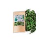 Naturally Grown Dried neem Leaves 0.4 oz Whole