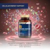 Nutraxin Vitamin B Complex - 60 Tablets, 2 Month Supply