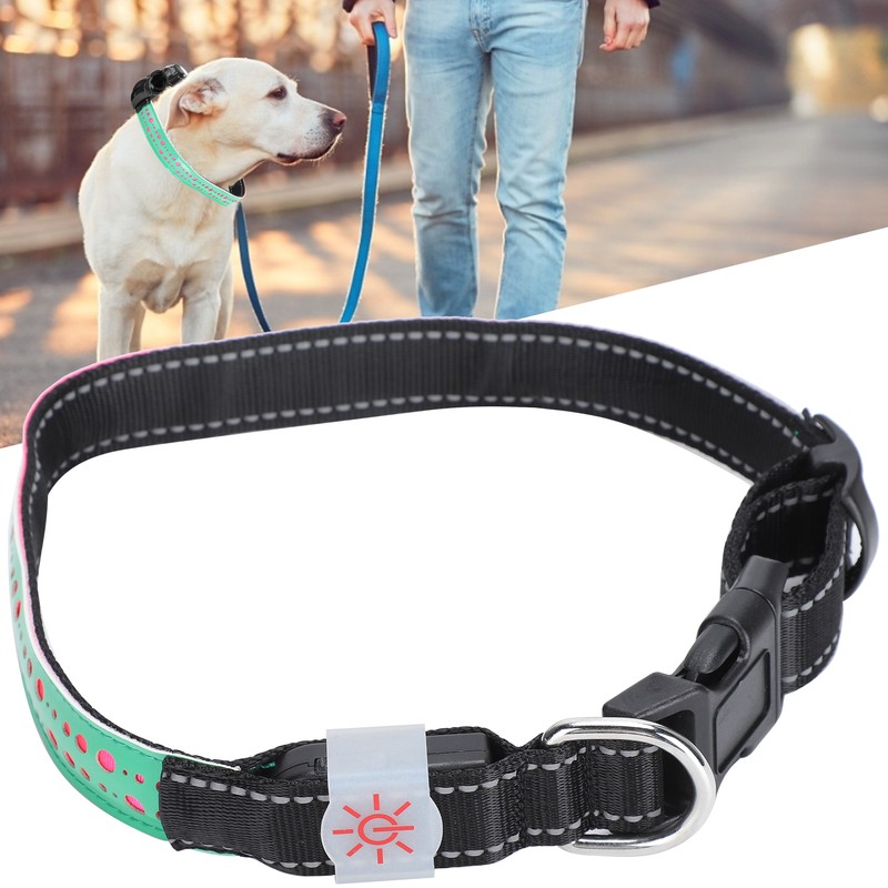 USB Rechargeable LED Pet Adjustable Carved Collar Dog Lighting Night