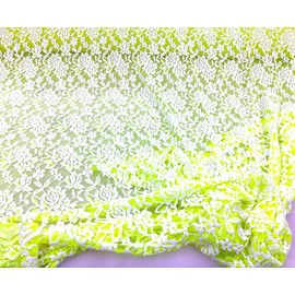 5 Yartd Lot Embroidered Stretch Lace Apparel Fabric Sheer Neon Green White Floral AA204