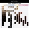 Clairol Professional Permanent Liquicolor, 10N Lightest Neutral Blonde, 2 Fl