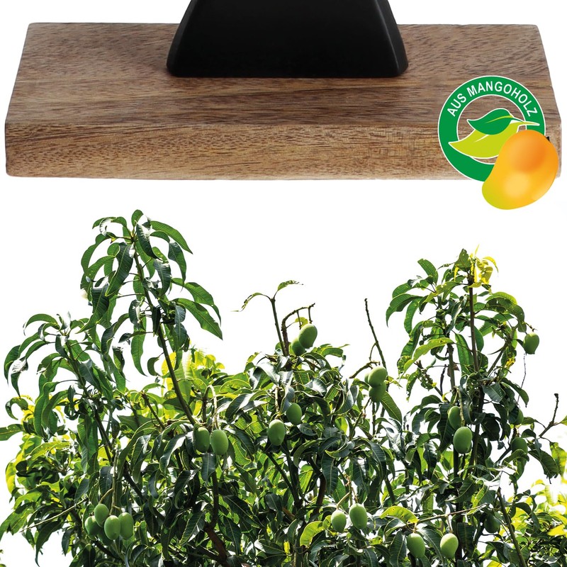 com-four® Decorative Stand Tree – Metal Tree on Mango Wood