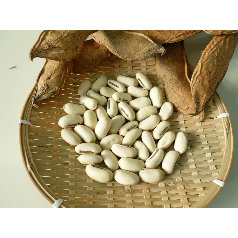 Domestically grown rapid-bean tea, 0.1 oz (3 g) x 30