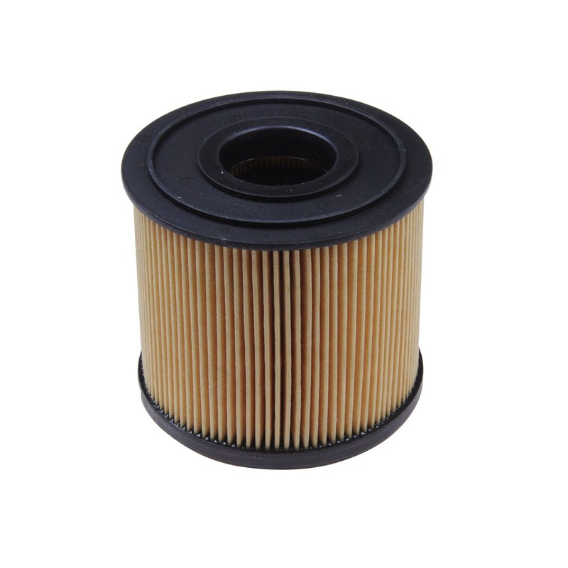 Blue Print ADK82325 Fuel Filter with Sealing Ring (Pack of