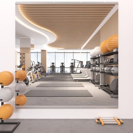 STAWDY Home Gym Mirror,48"x24" (Each)-2PCS Large Frameless Full Body Wall Mirror Length Tempered Glass Mirror Wall-Mounted Mirror for Gym,Yoga,Bedroom,Bathroom,Exercise Room