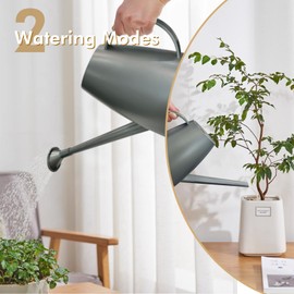 Etarewilt Watering Can for Indoor Outdoor Plants, Modern Small Watering Cans with Removable Nozzle, Long Spout Watering Can for Indoor Bonsai Plants Garden Flowers 1/2 Gallon 1.8L 60OZ (Gray)