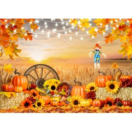 LYRYGS Fall Autumn Backdrop Fall Photography Backdrop Farm Harvest Background Thanksgiving Party Backdrop Farm Scene Backdrop Fall Photo Backdrop Decor Banner cp-554(7X5ft)