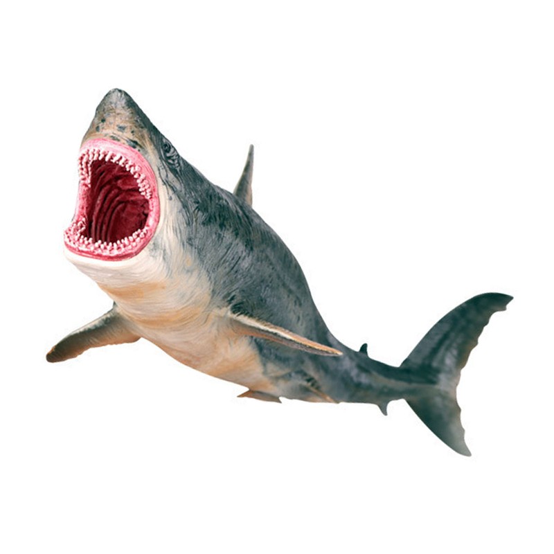 Shark Ornaments Vivid Plastic Engraving Painting Process Decorative Educational Interesting