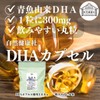 Natural Health Corporation DHA Capsule, Value 10.6 oz (300 g),