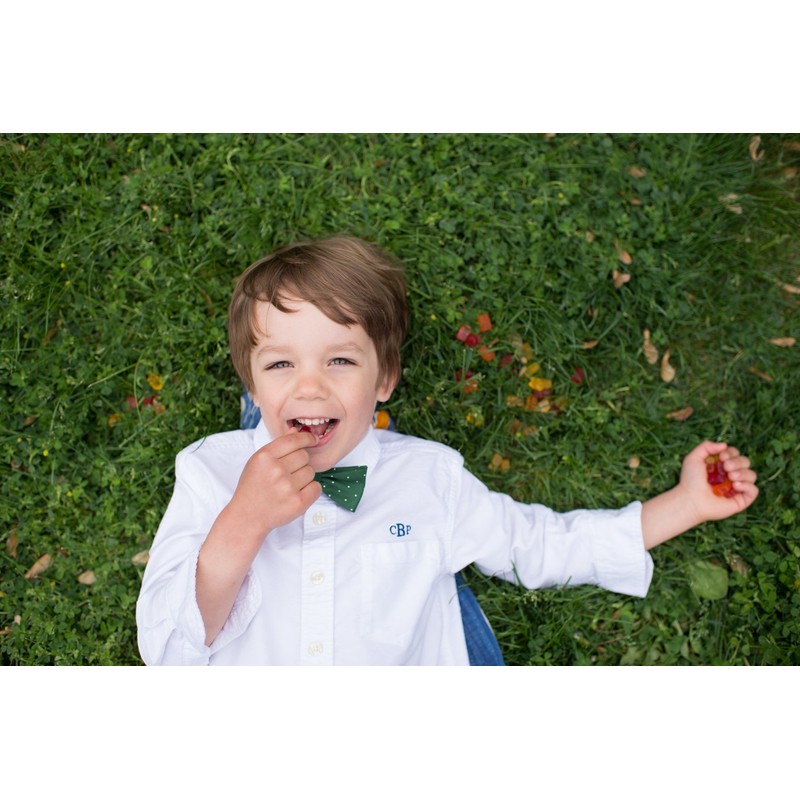 Surf Sweets Gummy Bears, Made with Organic Cane Sugar and