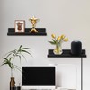 NIUBEST Small Floating Wall Shelf, 9 Inch Wall Shelf with