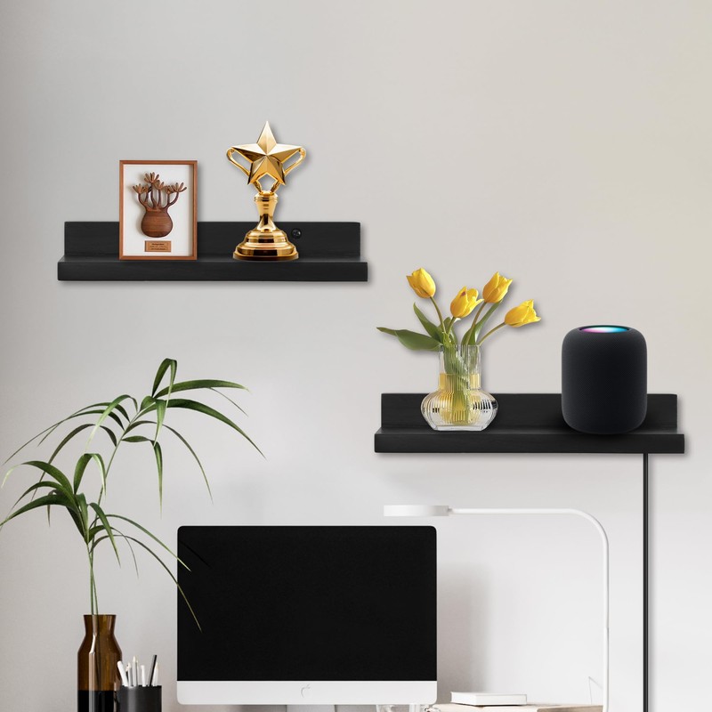 NIUBEST Small Floating Wall Shelf, 9 Inch Wall Shelf with